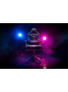 Razer Enki