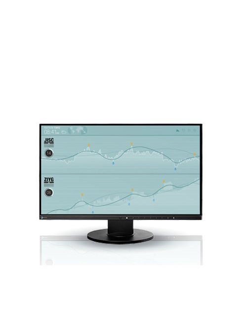 24" EIZO FlexScan EV2450