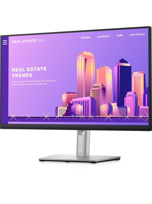 DELL P2422H 24"