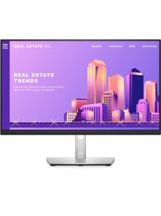 DELL P2422H 24"