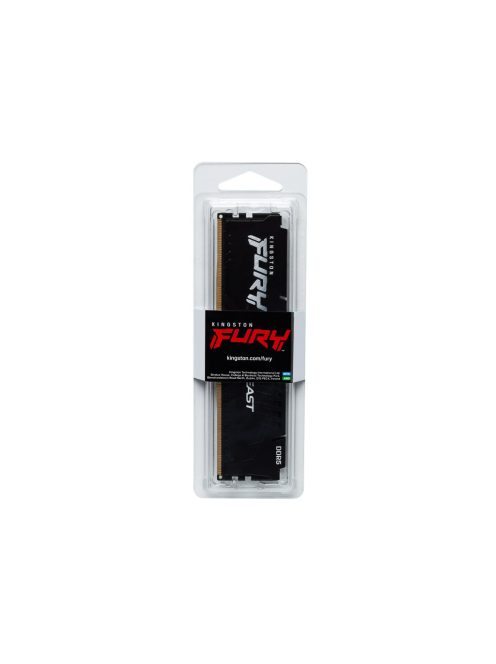 Kingston FURY Beast (1x32GB, CL30, XMP, EXPO)