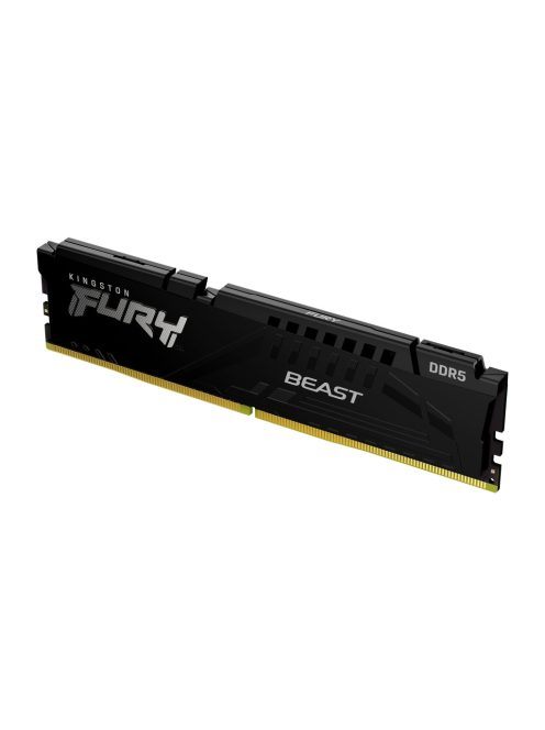 Kingston FURY Beast (1x32GB, CL30, XMP, EXPO)