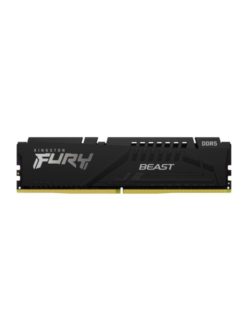 Kingston FURY Beast (1x32GB, CL30, XMP, EXPO)